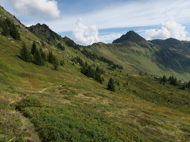 zwischen Kleiner Gebra und Hochwildalmhütte (10. Sept.)
