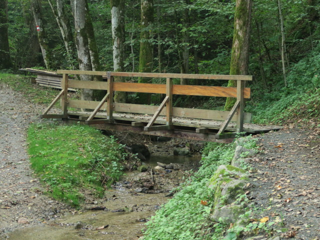 Weg 16 zwischen Kitzbühel und Hagstein (11. Sept.)