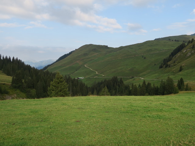 Brunnhoferalm (11. Sept.)