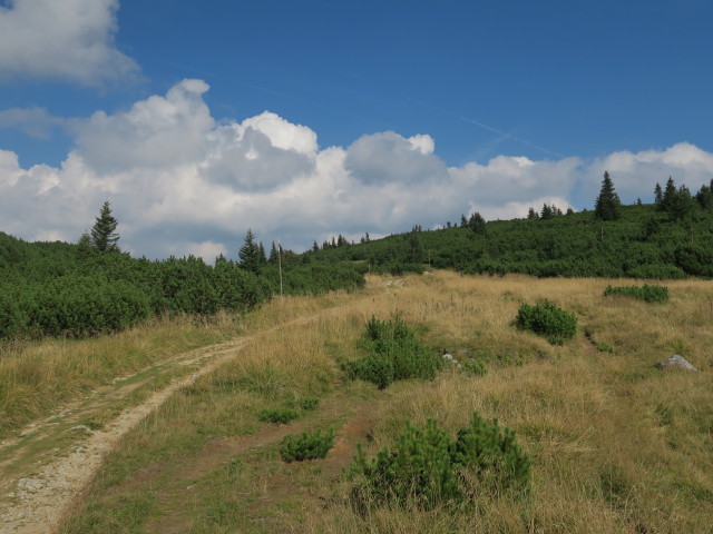 Seeweg zwischen Otto-Schutzhaus und Gr&uuml;nschacher