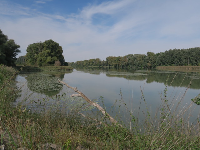 K&uuml;hw&ouml;rter Wasser