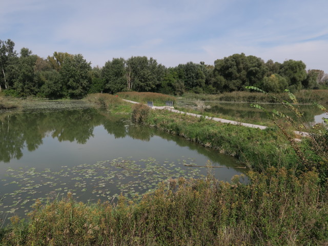 K&uuml;hw&ouml;rter Wasser