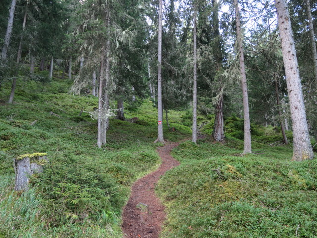 Nederer Amtswald (24. Sept.)