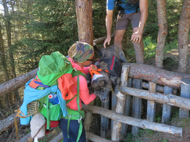 Eva-Maria am Weg 115 zwischen Sch&ouml;negg und Bachertal (25. Sept.)