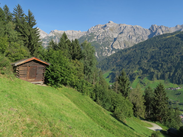 neben Weg 115 zwischen Sch&ouml;negg und Bachertal (25. Sept.)