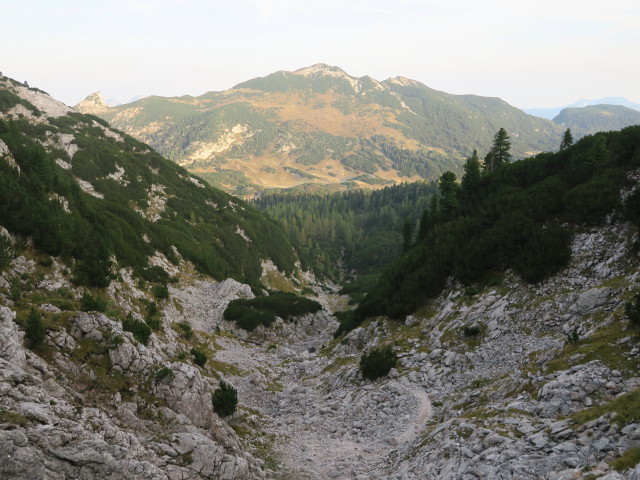 Steinberggasse (1. Okt.)