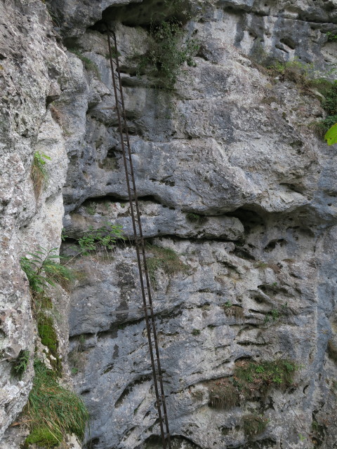 Rudolf-Decker-Klettersteig: Leiter zum Wildsch&uuml;tzenloch