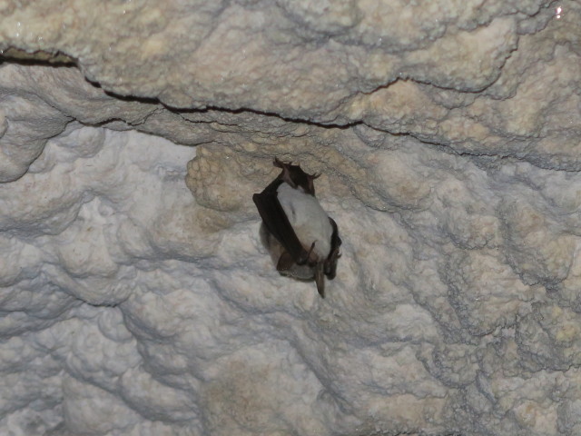 &Ouml;tscher-Tropfsteinh&ouml;hle