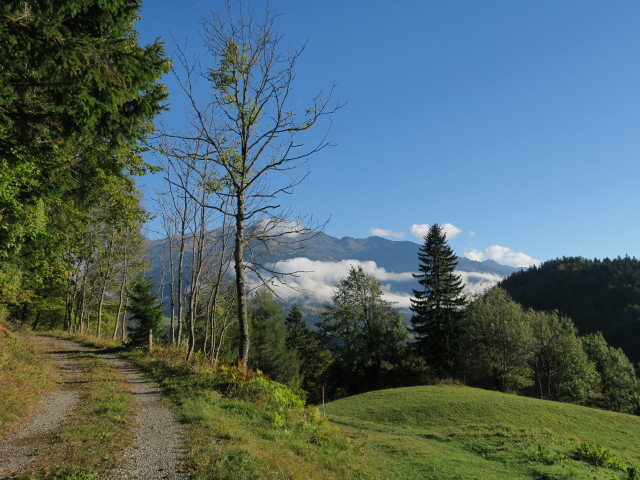 Weg 14 zwischen Pension St&ouml;cklm&uuml;hl und Gailberg