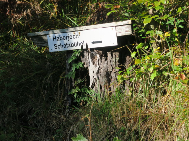 neben Weg 12 in Gailberg