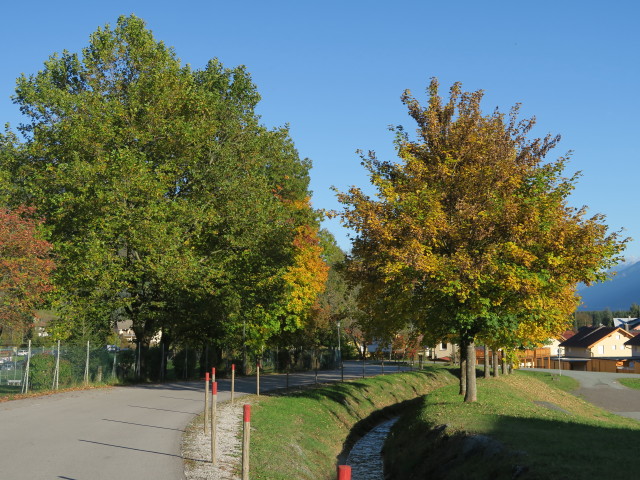 K&ouml;tschach, 705 m