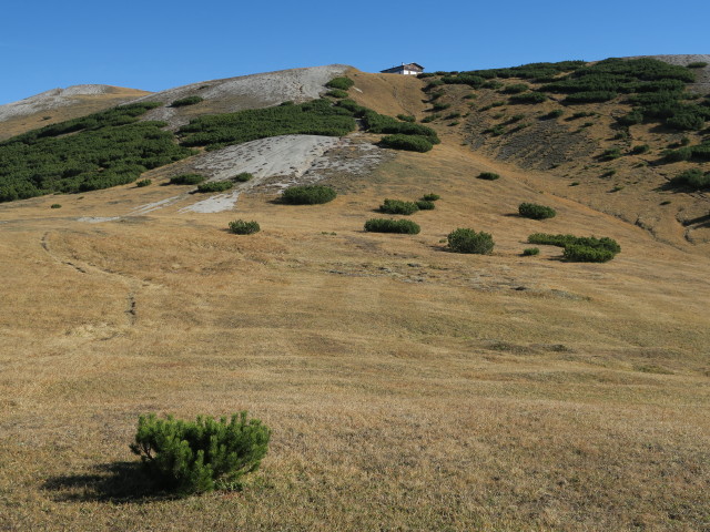 zwischen Blaserh&uuml;tte und Kalbenjochm&auml;hder (29. Okt.)