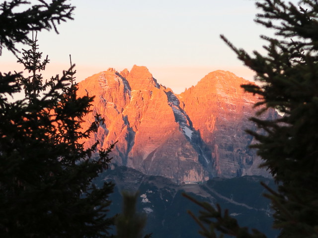 Kalkk&ouml;gel vom Waldraster J&ouml;chl aus (31. Okt.)