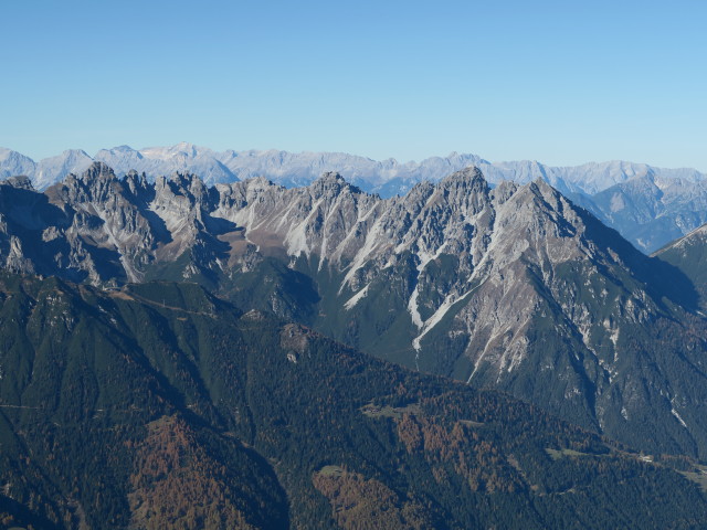 Kalkk&ouml;gel (31. Okt.)