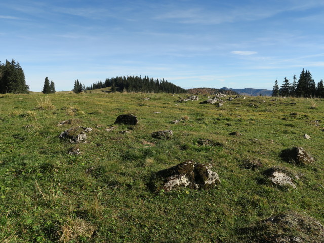 neben Peter-Rosegger-Weitwanderweg zwischen Kampalpe und Windmantel