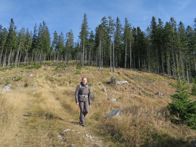Sabine am Peter-Rosegger-Weitwanderweg zwischen Tratenkogel und Peter-Rosegger-Weitwanderweg