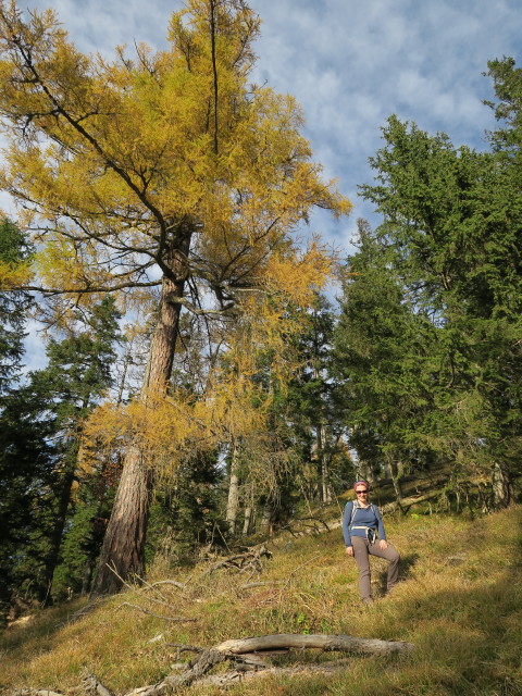 Sabine zwischen Scheibenhütte und Hosengraben