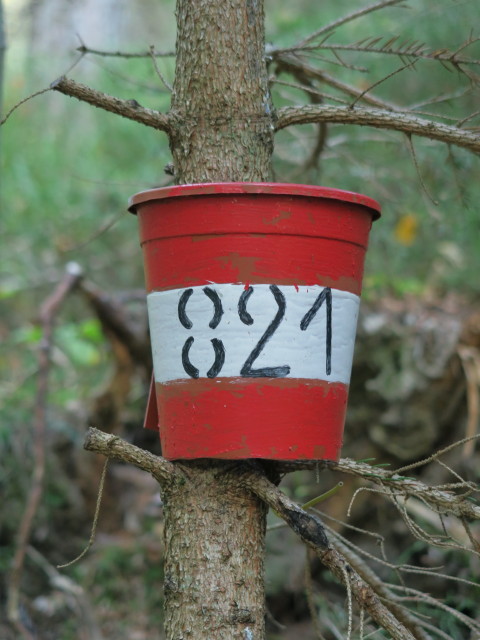 Weg 821 zwischen Bürgerwald und Mürzzuschlag