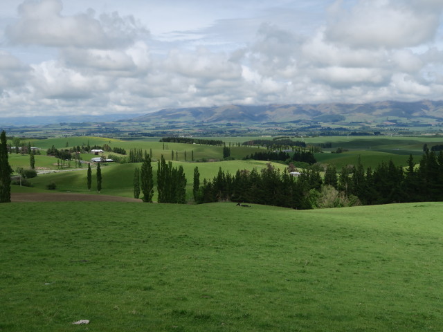 Mackenzie Basin (14. Nov.)