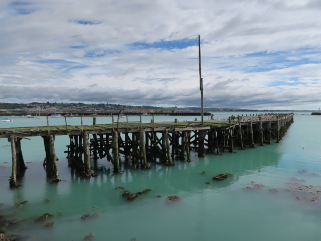 Oamaru Harbour (15. Nov.)