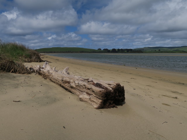 Surat Bay (17. Nov.)