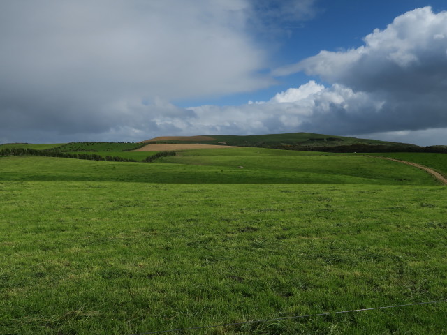 zwischen Curio Bay und Haidane (17. Nov.)