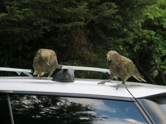 bei The Chasm (19. Nov.)