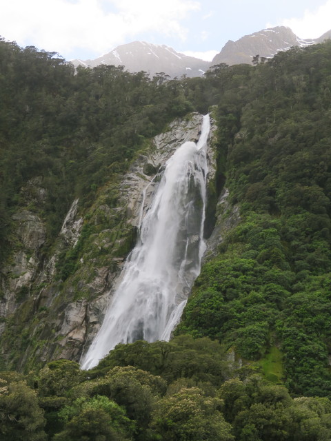 Bowen Falls (19. Nov.)