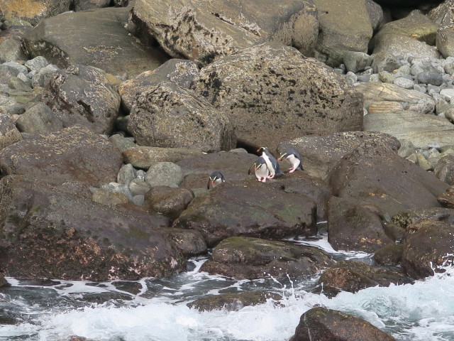 Copper Point (19. Nov.)