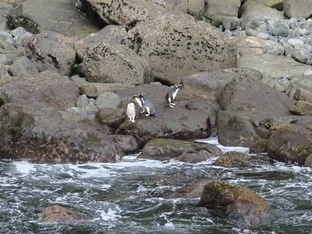 Copper Point (19. Nov.)