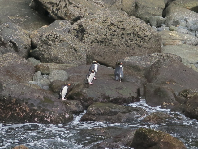 Copper Point (19. Nov.)