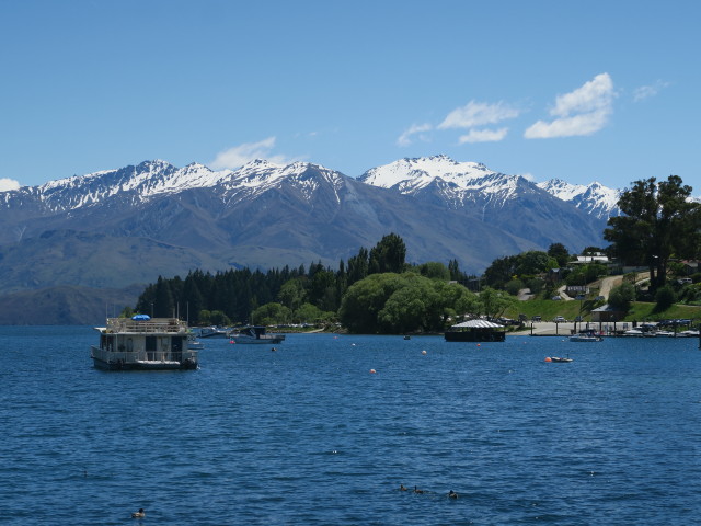 Lake Wanaka, 280 m (20. Nov.)