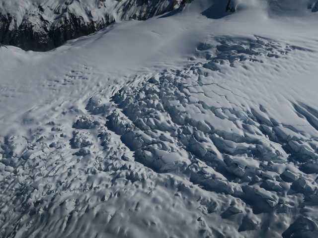Fox Glacier im Westland Tai Poutini National Park (22. Nov.)