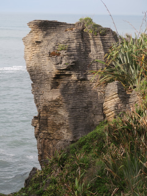 Punakaiki Pancake Rocks im Paparoa National Park (23. Nov.)