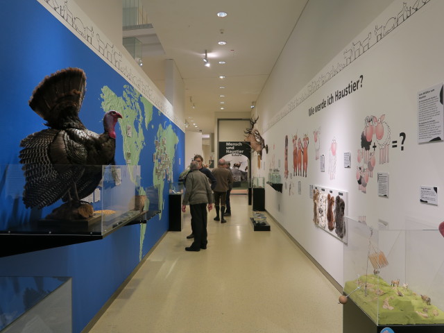 Sonderausstellung 'MuH - Mensch und Haustier'