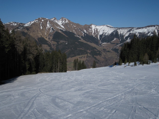 Familienabfahrt Hochalm - Heimalm