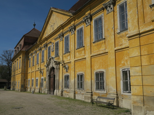 Schloss Marchegg
