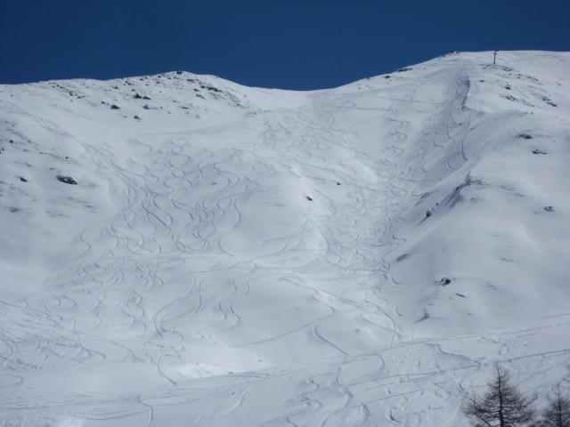 neben der Piste 35 (20. Apr.)