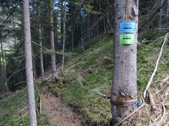 Familien-Klettersteig