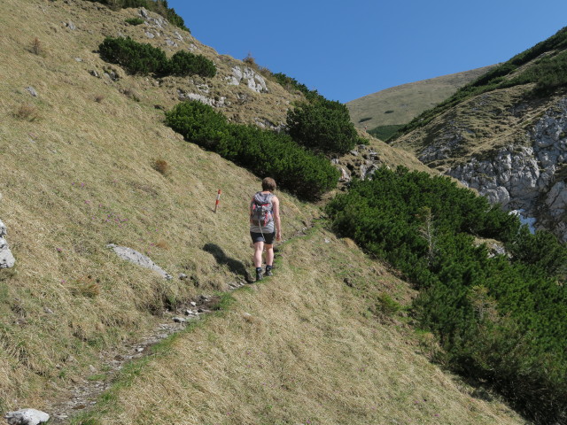 Hannelore am Weg 465 zwischen Rodel und Ginatzwiese