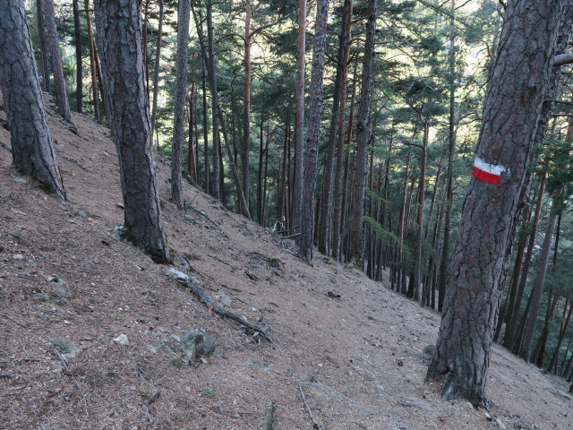 Weg 7 zwischen Franzensfeste und Kreuzl