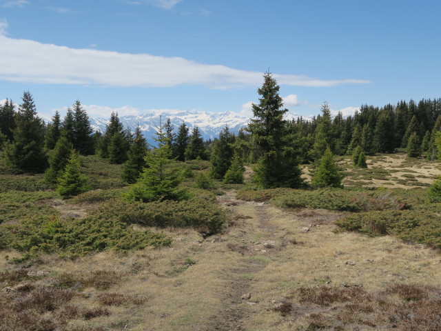 Weg 11 zwischen Stattmoos und Planeralm
