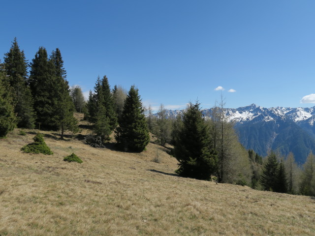 Nocksteig zwischen Großem Nock und Kleinem Nock