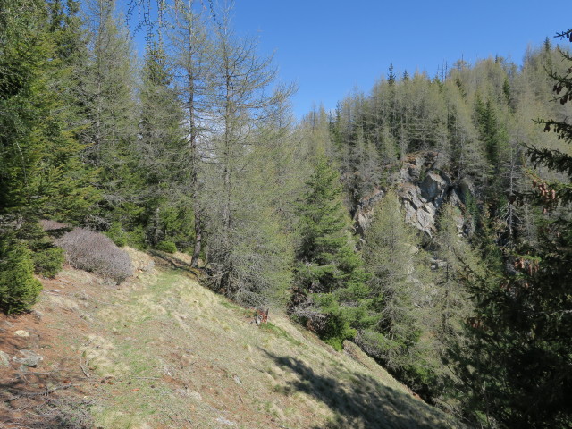 Nocksteig zwischen Kleinem Nock und Maulser Tal