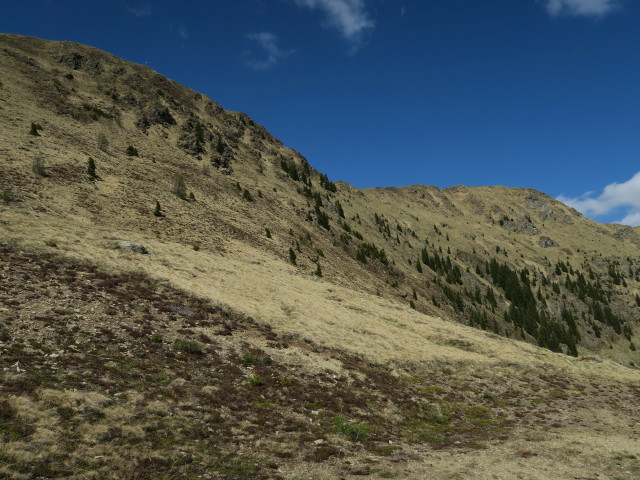 Dolzer und Gaugen (25. Mai)