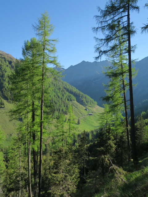 Oberdraßnitzer Alm (27. Mai)