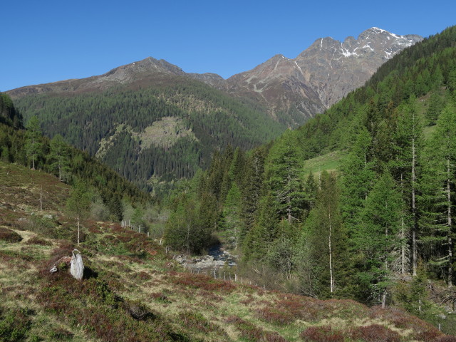 Draßnitzbach (27. Mai)