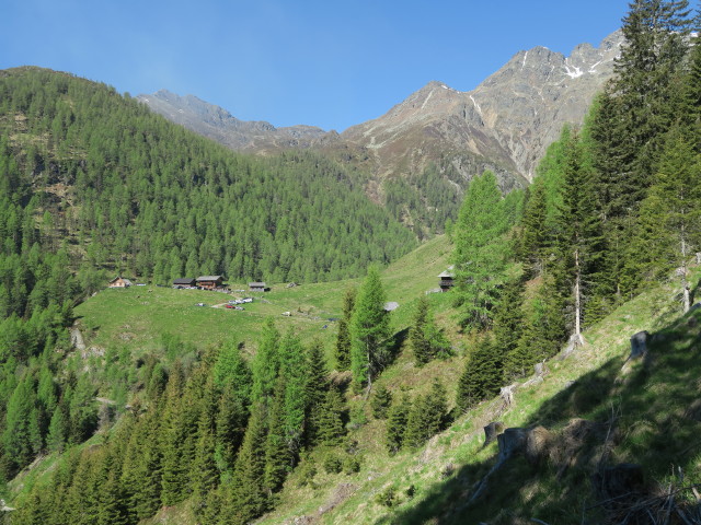 Unterdraßnitzer Alm, 1.673 m (27. Mai)