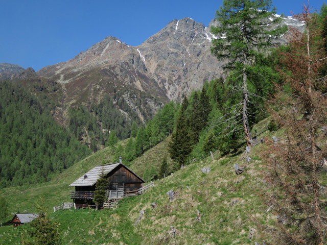 Unterdraßnitzer Alm, 1.673 m (27. Mai)