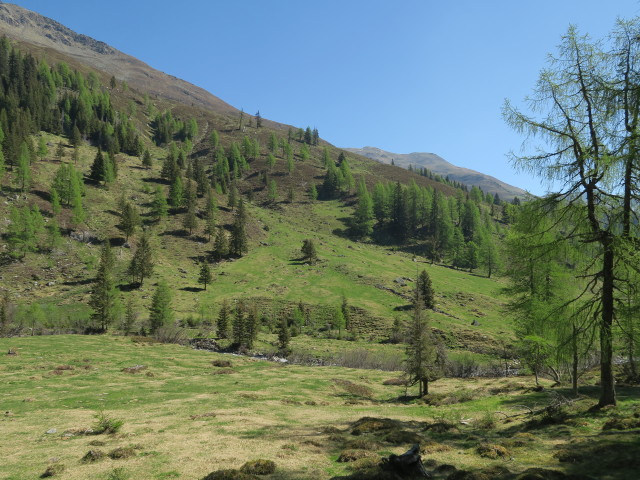 zwischen Gursgenbach und Seidernitzsee (27. Mai)